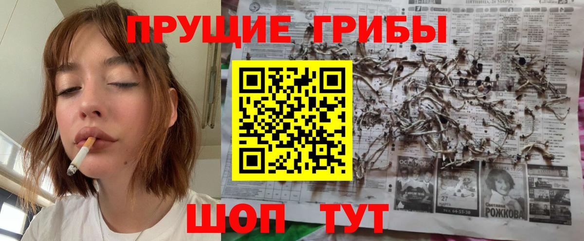 Псилоцибиновые грибы мухоморы Тимашёвск